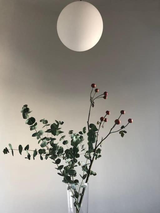 Big Bright Cozy Studio Apartment In Nolo Near Mm1 Milan Extérieur photo
